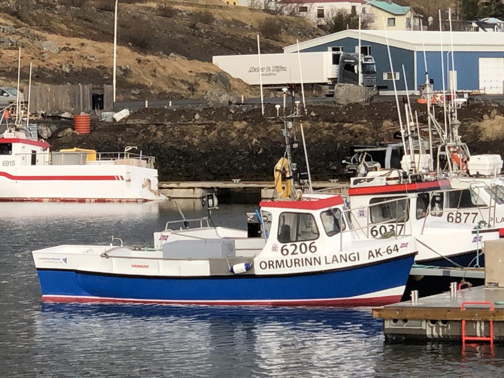 Ljósmynd: Magnús Þór Hafsteinsson